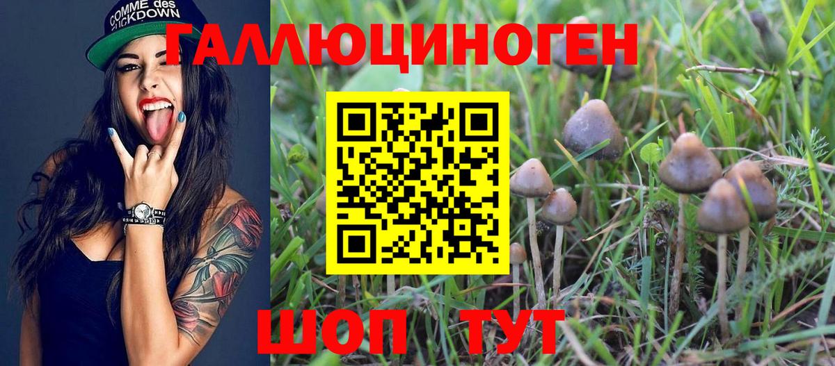 Галлюциногенные грибы Magic Shrooms  Вход с VPN  Минусинск  Галлюциногенные грибы ЛСД 